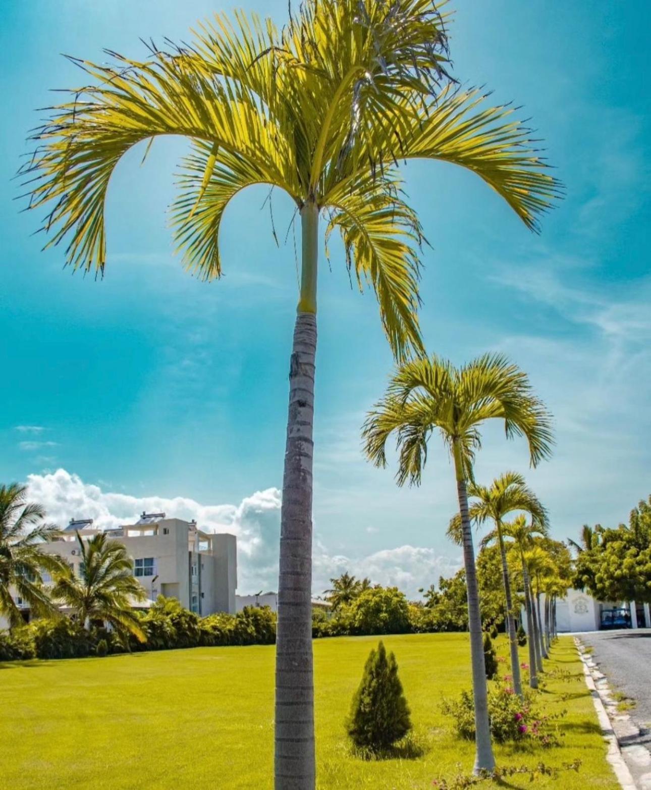 Exclusive * Private And Housekeeping Villa *